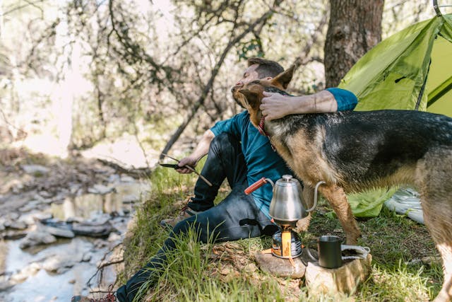 Man and Dog